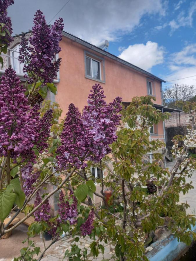Byurakan Guesthouse Eksteriør billede